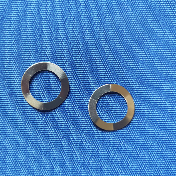 Stainless Steel Wave Spring for CR2032 Case