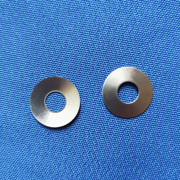 Stainless Steel Spring (Belleville Washers) for CR2032 Cases